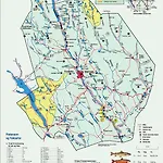 15 - Alpint, snøscooter og langrenn *