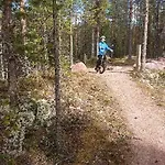 12 - Fulufjellets National Parks - This Is The Place Where Norway And Sweden Meet In A Large Protected Area For Animals And Nature דירה Ljørdal