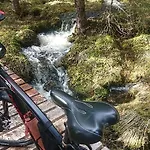 15 - Alpint, snøscooter og langrenn *