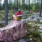 12 - Fulufjellets National Parks - Is The Place Where Norway And Sweden Meet In A Large Protected Area For Animals And Nature Apartamento *