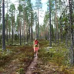12 - Fulufjellets National Parks - This Is The Place Where Norway And Sweden Meet In A Large Protected Area For Animals And Nature דירה