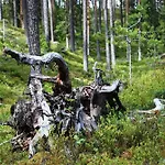 דירה 12 - Fulufjellets National Parks - This Is The Place Where Norway And Sweden Meet In A Large Protected Area For Animals And Nature