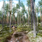 Appartement 15 - Alpint, snøscooter og langrenn *