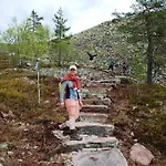 15 - Alpint, snøscooter og langrenn *