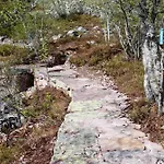 12 - Fulufjellets National Parks - This Is The Place Where Norway And Sweden Meet In A Large Protected Area For Animals And Nature Ljørdal