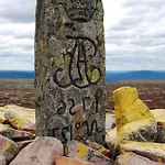 12 - Fulufjellets National Parks - Is The Place Where Norway And Sweden Meet In A Large Protected Area For Animals And Nature Apartamento