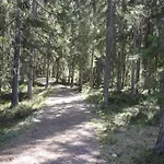 12 - Fulufjellets National Parks - Is The Place Where Norway And Sweden Meet In A Large Protected Area For Animals And Nature * Ljørdal