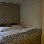 15 - Alpint, snøscooter og langrenn Appartement