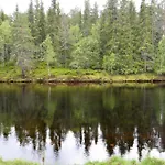 12 - Fulufjellets National Parks - Is The Place Where Norway And Sweden Meet In A Large Protected Area For Animals And Nature *