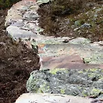 12 - Fulufjellets National Parks - This Is The Place Where Norway And Sweden Meet In A Large Protected Area For Animals And Nature דירה *