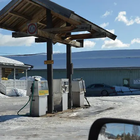 Natur-, Dyre- Og Fugleopplevelser I Fulufjellets Nasjonalparker Appartement Ljørdal