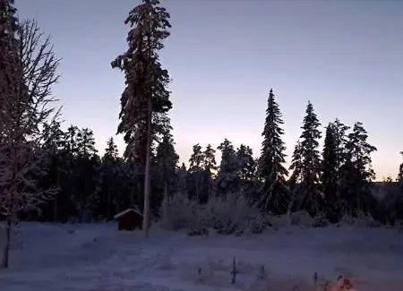 Natur-, Dyre- Og Fugleopplevelser I Fulufjellets Nasjonalparker Apartment Ljordal