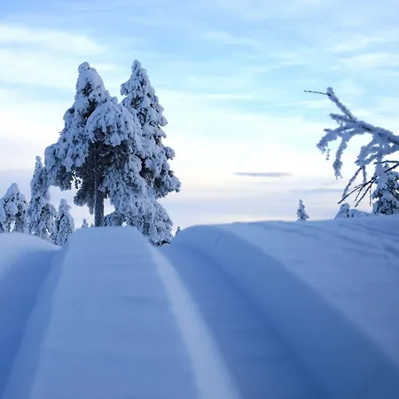 Natur-, Dyre- Og Fugleopplevelser I Fulufjellets Nasjonalparker Ljordal