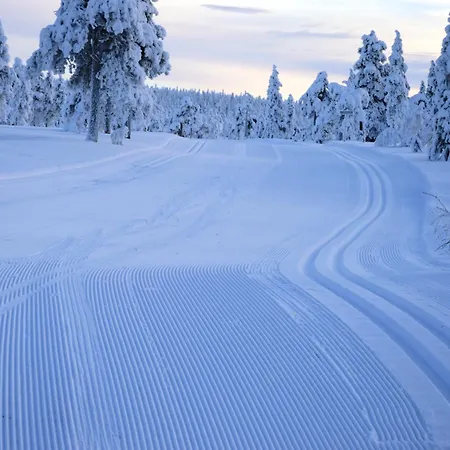 Natur-, Dyre- Og Fugleopplevelser I Fulufjellets Nasjonalparker Ljordal