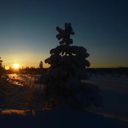 Natur-, Dyre- Og Fugleopplevelser I Fulufjellets Nasjonalparker Ljordal