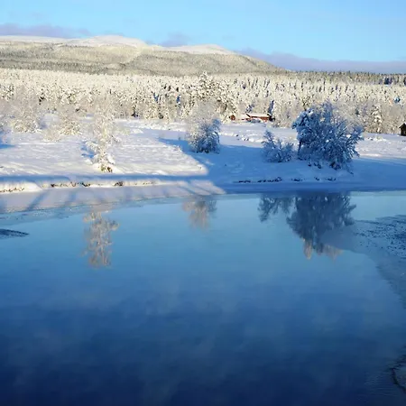 Natur-, Dyre- Og Fugleopplevelser I Fulufjellets Nasjonalparker * Ljordal