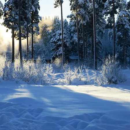 Natur-, Dyre- Og Fugleopplevelser I Fulufjellets Nasjonalparker Apartment Ljordal