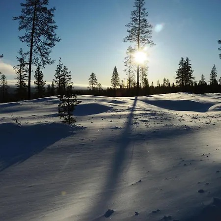 Apartment Natur-, Dyre- Og Fugleopplevelser I Fulufjellets Nasjonalparker