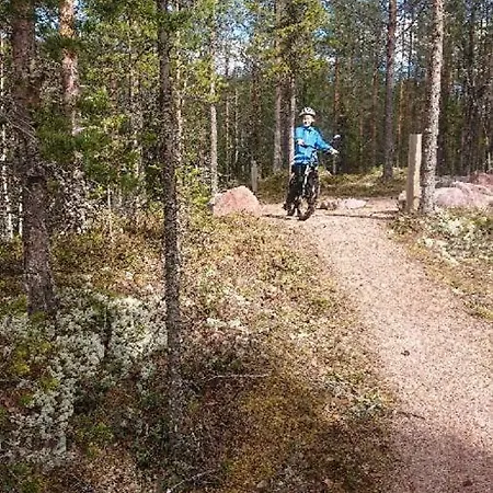 12 - Fulufjellets Nasjonalparker - Natur-, Dyre- Og Fugleopplevelser Lejlighed Ljørdal