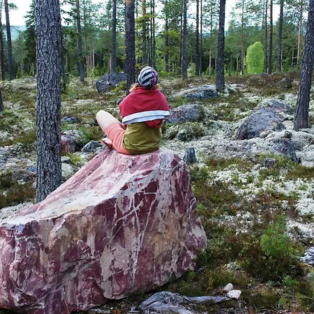 12 - Fulufjellets National Parks - Is The Place Where Norway And Sweden Meet In A Large Protected Area For Animals And Nature Lejlighed *