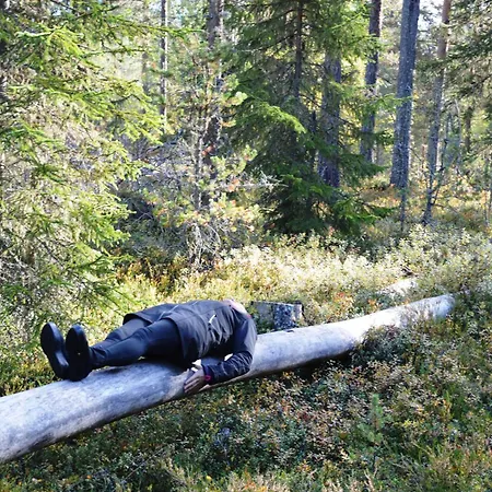 12 - Fulufjellets National Parks - Is The Place Where Norway And Sweden Meet In A Large Protected Area For Animals And Nature