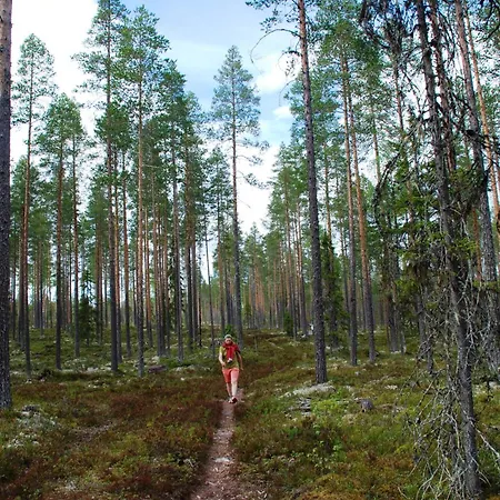 12 - Fulufjellets National Parks - Is The Place Where Norway And Sweden Meet In A Large Protected Area For Animals And Nature Lejlighed *