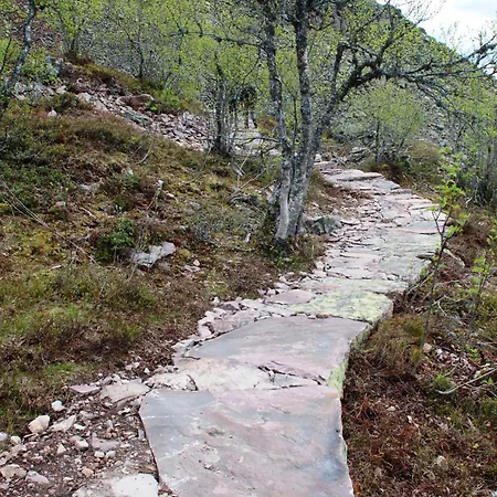 Appartement Natur-, Dyre- Og Fugleopplevelser I Fulufjellets Nasjonalparker *