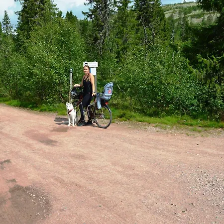 Appartement Natur-, Dyre- Og Fugleopplevelser I Fulufjellets Nasjonalparker Ljørdal