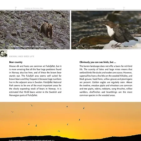 Natur-, Dyre- Og Fugleopplevelser I Fulufjellets Nasjonalparker *
