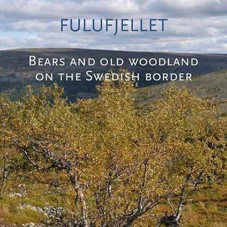 12 - Fulufjellets National Parks - Is The Place Where Norway And Sweden Meet In A Large Protected Area For Animals And Nature