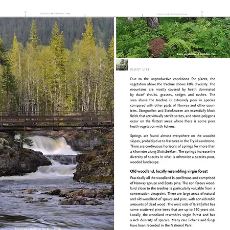 12 - Fulufjellets National Parks - Is The Place Where Norway And Sweden Meet In A Large Protected Area For Animals And Nature Apartmán Ljørdal