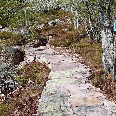 12 - Fulufjellets Nasjonalparker - Natur-, Dyre- Og Fugleopplevelser Ljørdal