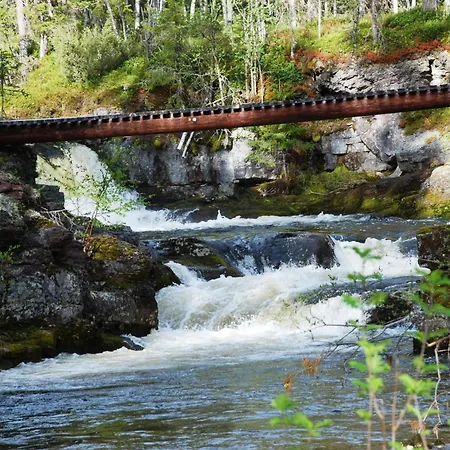 Natur-, Dyre- Og Fugleopplevelser I Fulufjellets Nasjonalparker Ljørdal