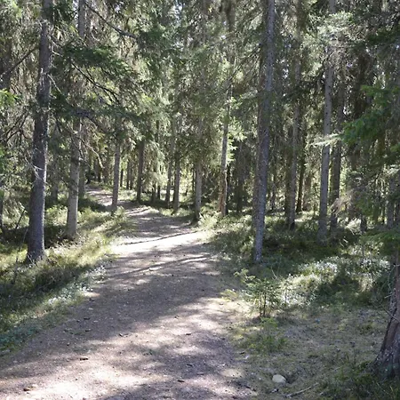 12 - Fulufjellets National Parks - Is The Place Where Norway And Sweden Meet In A Large Protected Area For Animals And Nature * Ljørdal