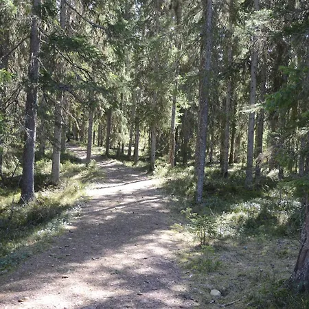 12 - Fulufjellets Nasjonalparker - Natur-, Dyre- Og Fugleopplevelser * Ljørdal