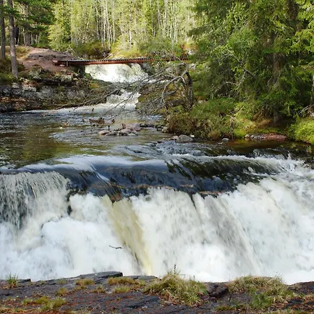 Appartement Natur-, Dyre- Og Fugleopplevelser I Fulufjellets Nasjonalparker