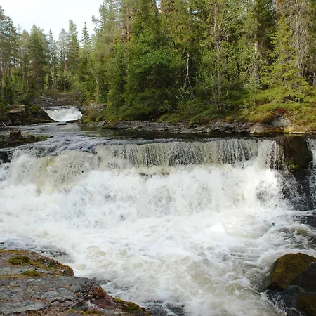 12 - Fulufjellets National Parks - Is The Place Where Norway And Sweden Meet In A Large Protected Area For Animals And Nature Lejlighed *