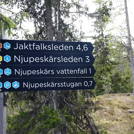 Lejlighed 12 - Fulufjellets Nasjonalparker - Natur-, Dyre- Og Fugleopplevelser *