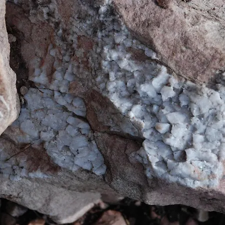 12 - Fulufjellets Nasjonalparker - Natur-, Dyre- Og Fugleopplevelser Lejlighed *
