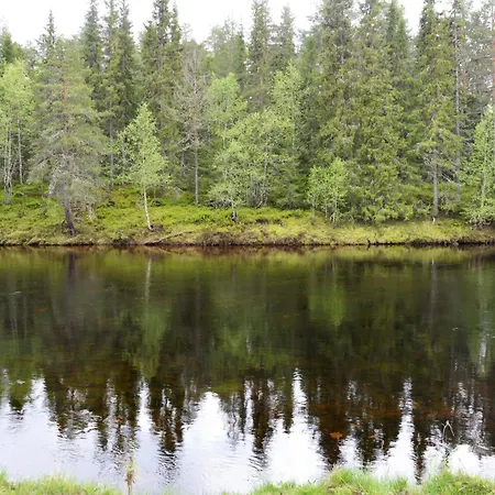 12 - Fulufjellets National Parks - Is The Place Where Norway And Sweden Meet In A Large Protected Area For Animals And Nature *