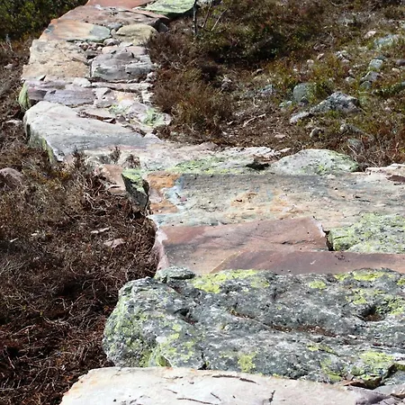 12 - Fulufjellets National Parks - Is The Place Where Norway And Sweden Meet In A Large Protected Area For Animals And Nature Lägenhet *
