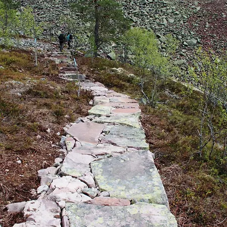 12 - Fulufjellets Nasjonalparker - Natur-, Dyre- Og Fugleopplevelser Lejlighed