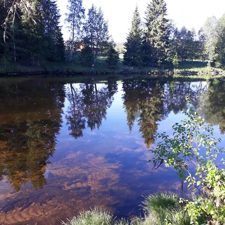 12 - Fulufjellets National Parks - Is The Place Where Norway And Sweden Meet In A Large Protected Area For Animals And Nature *