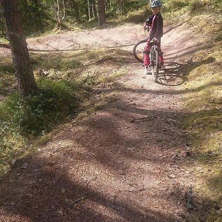 12 - Fulufjellets Nasjonalparker - Natur-, Dyre- Og Fugleopplevelser