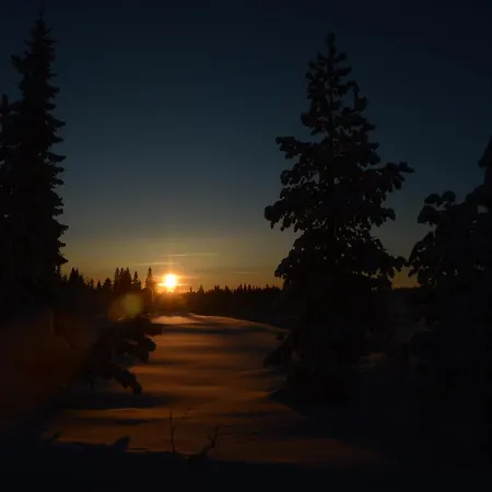 12 - At Fulufjellstunet - Winter Wonderland - Snow And Nature In Norway