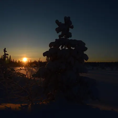 12 - At Fulufjellstunet - Winter Wonderland - Snow And Nature In Norway Apartamento *