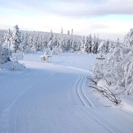 12 - At Fulufjellstunet - Winter Wonderland - Snow And Nature In Norway Apartamento