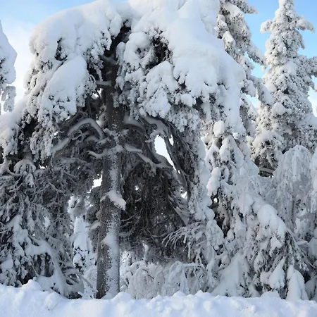 12 - At Fulufjellstunet - Winter Wonderland - Snow And Nature In Norway Apartamento *
