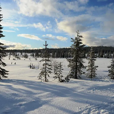 12 - At Fulufjellstunet - Winter Wonderland - Snow And Nature In Norway *