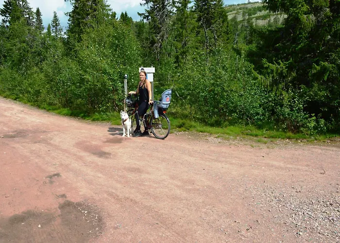 Appartement 12 - Fulufjellets Nasjonalparker - Sno - Alpint - Langrenn - Snoscooter Ljørdal